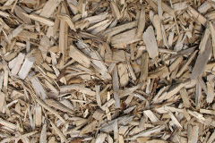 biomass boilers Mangaster