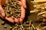 free Mangaster biomass boiler quotes